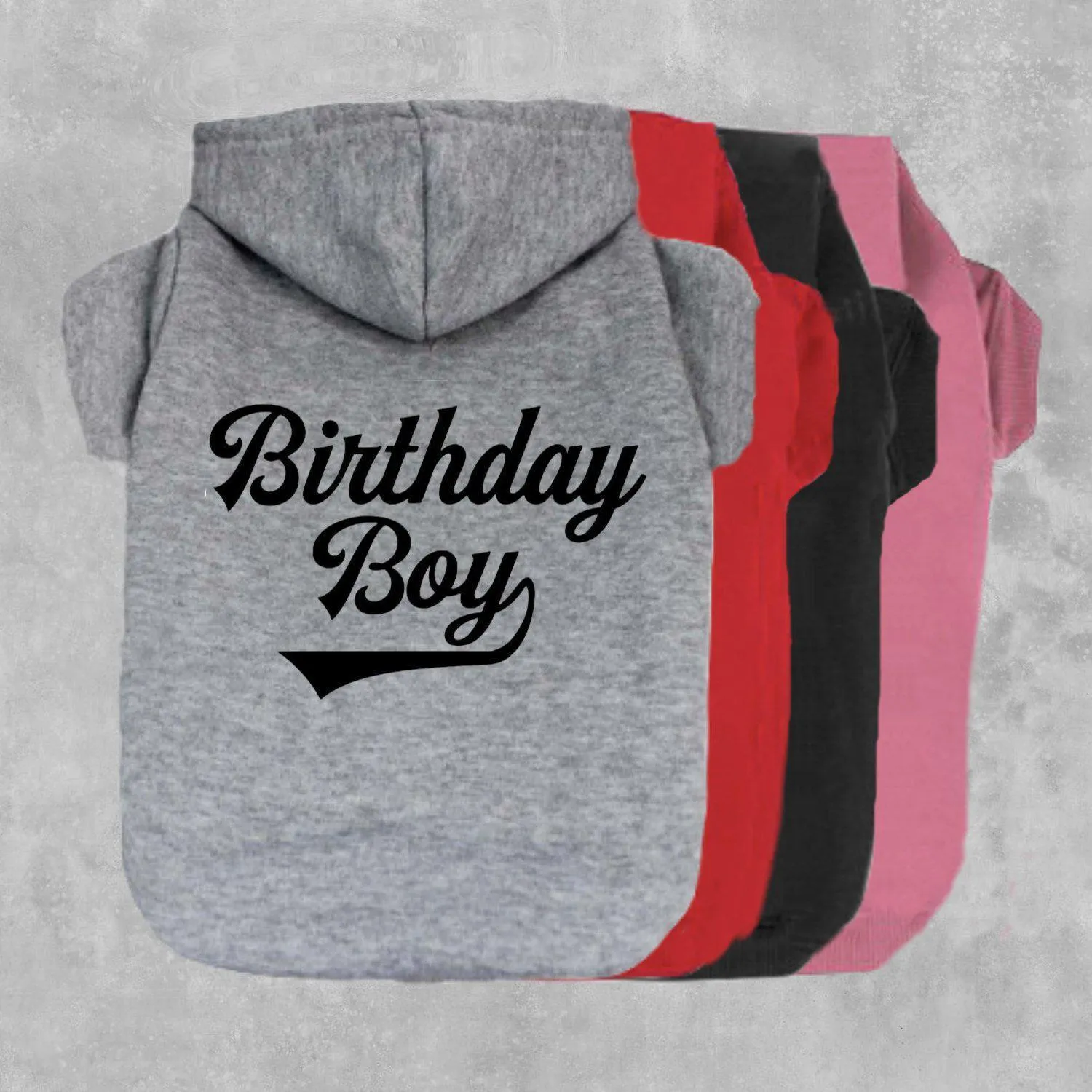 Birthday Boy Pet Hoodie